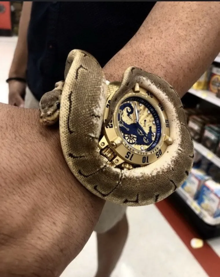 13 SLIKA OD KOJIH ĆE VAS PROĆI JEZA: Ako ovo uspijete prelistati do kraja, skidamo kapu...