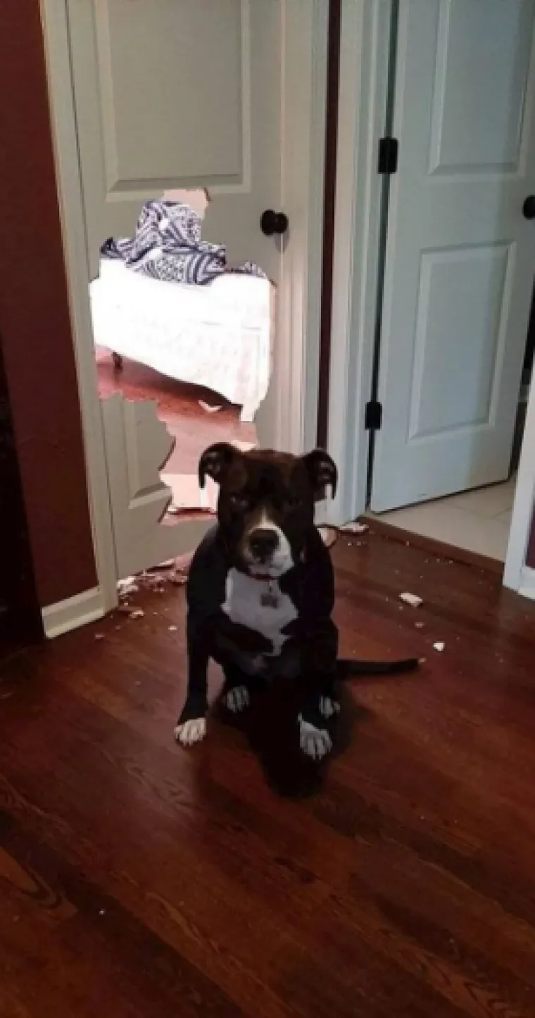 Jednostavno nemaju sreće: Ovim se ljudima život zamjerio