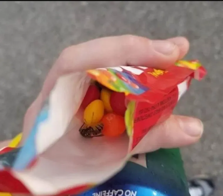 Jednostavno nemaju sreće: Ovim se ljudima život zamjerio