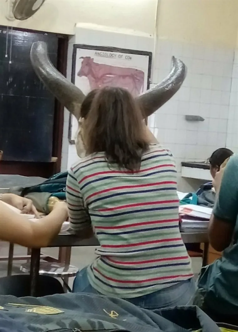 ONO KAD VAS VLASTITE OČI PREVARE: Ove nezgodne fotke sigurno ćete morati pogledati dva puta. I to pozorno