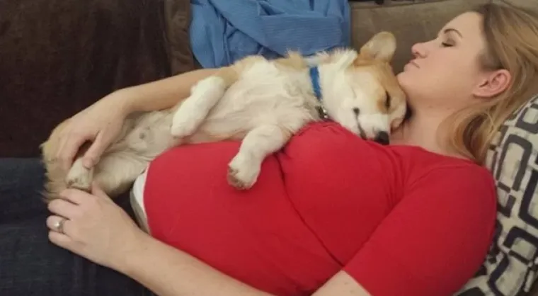 Puni ljubavi: Pogledajte kako ovi ljubimci maze i paze svoje trudne vlasnice