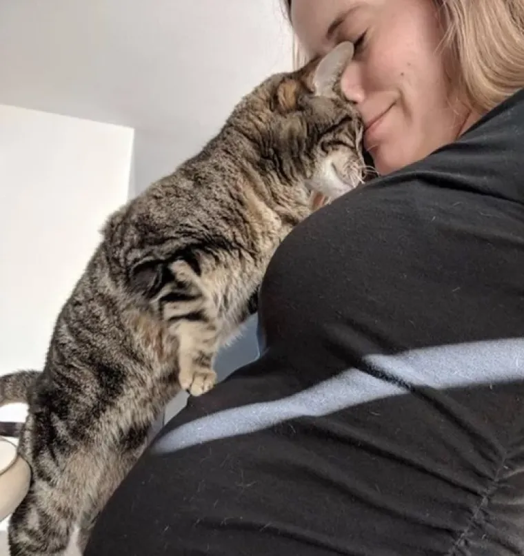 Puni ljubavi: Pogledajte kako ovi ljubimci maze i paze svoje trudne vlasnice