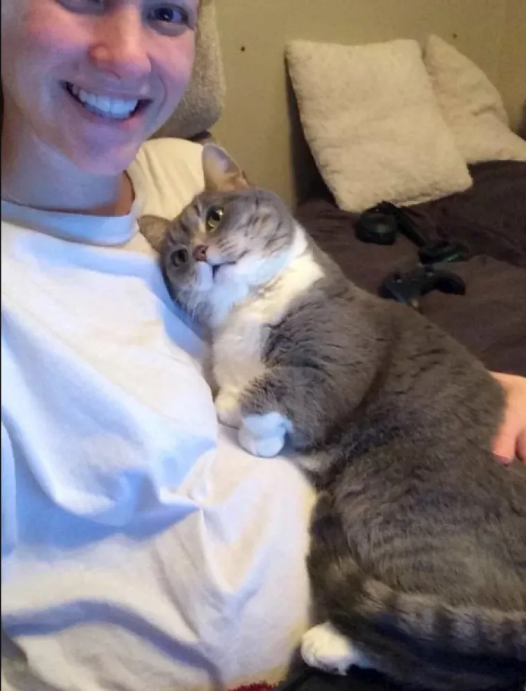 Puni ljubavi: Pogledajte kako ovi ljubimci maze i paze svoje trudne vlasnice