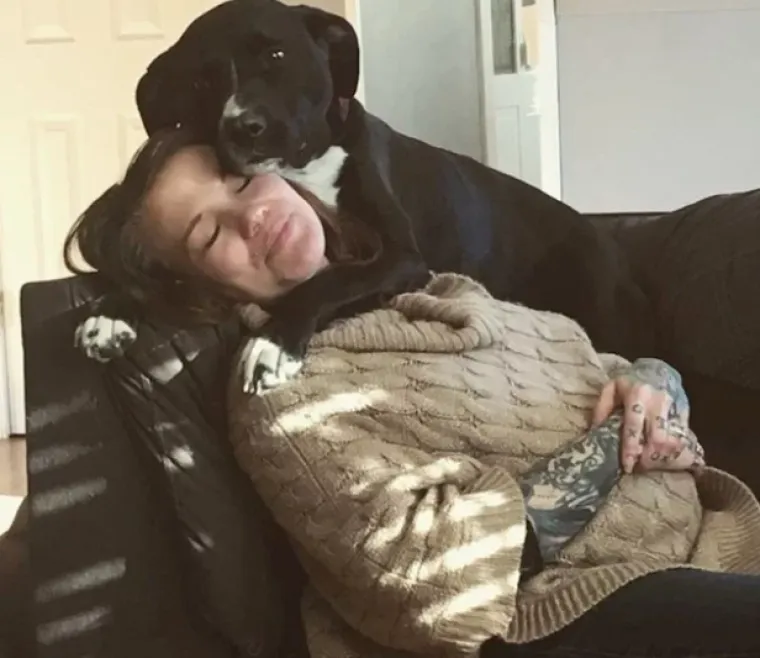 Puni ljubavi: Pogledajte kako ovi ljubimci maze i paze svoje trudne vlasnice