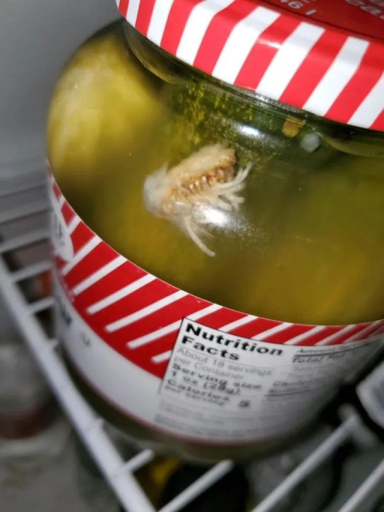 &Scaron;TO SE OVDJE DOGAĐA? Puno stvari na svijetu vas može &scaron;okirati, ali za ovih 10 prizora nemamo nikakvo obja&scaron;njenje