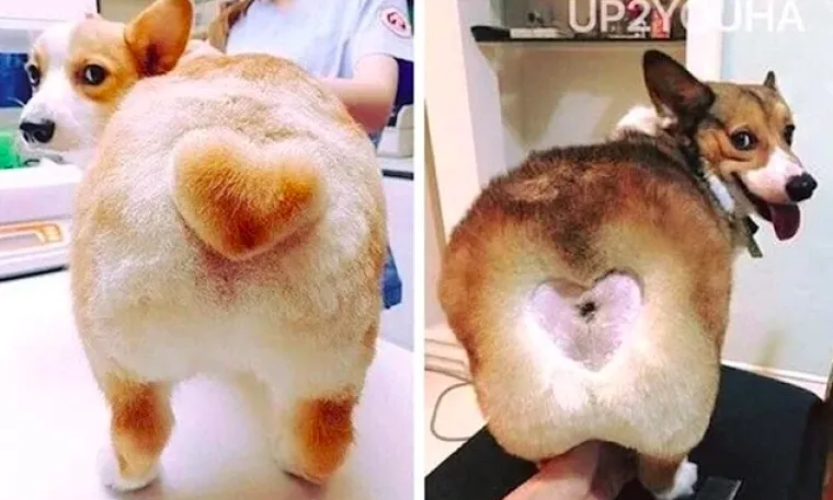 Gadno su ih prevarili: Ovi nezadovoljni kupci slikali su najgluplje prevare sa kojima su se susreli