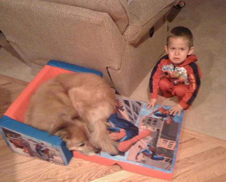 OBJAVILI PRIZORE PRAVIH MALIH GADOVA: Neki kućni ljubimci stvarno su prepredeni, a drugi izazivaju kaos