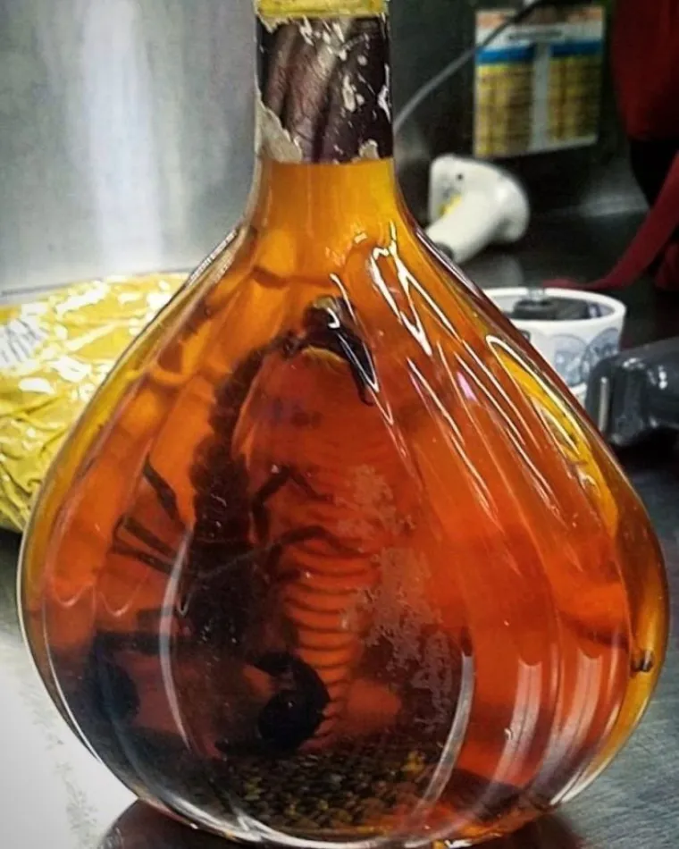 PAŽLJIVO POGLEDAJTE: Ovo su najčudnije stvari koje su ljudi poku&scaron;ali pro&scaron;vercati u avion. Pa gdje im je pamet bila?