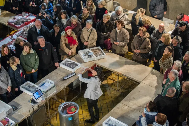 Godina Europske prijestolnice kulture: Riječani stazom dugom 232 metra krenuli iz pro&scaron;losti u budućnost