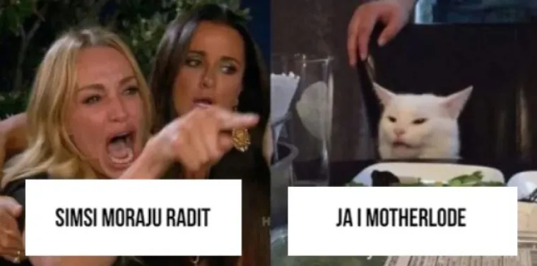 Simsi slave 20 godina: Ove meme savršeno opisuju jednu od najboljih igrica