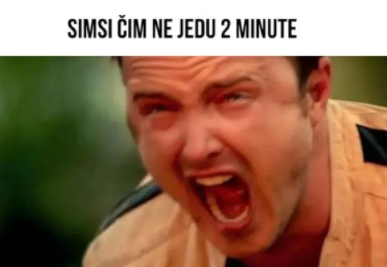 Simsi slave 20 godina: Ove meme savršeno opisuju jednu od najboljih igrica