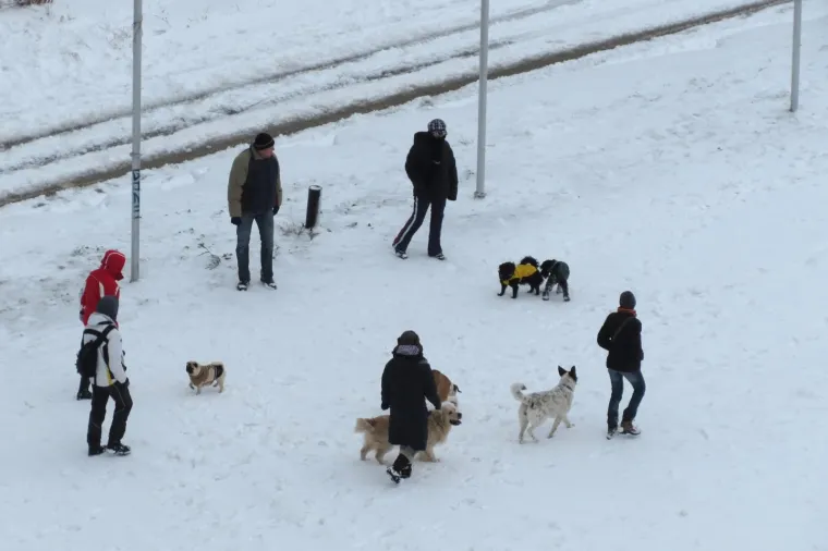 Na hitni kirur&scaron;ki odjel splitskoga KBC-a bilo je tog dana primljeno vi&scaron;e od 80 građana