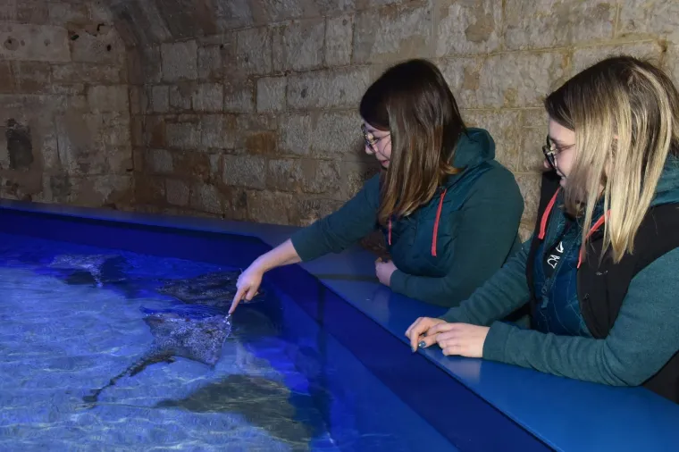 Velika nova atrakcija u pulskom akvariju i zove se Srećko