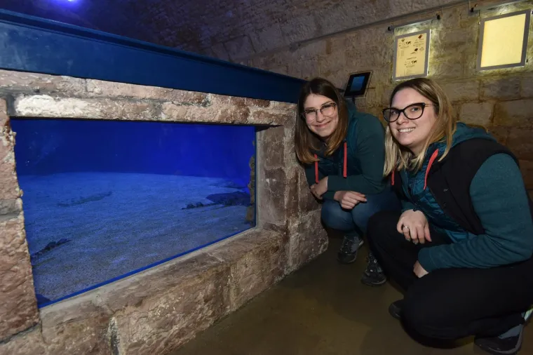 Velika nova atrakcija u pulskom akvariju i zove se Srećko