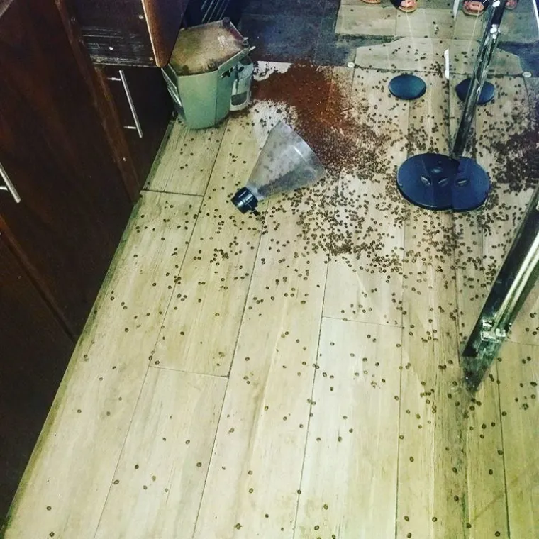 Konobarski život: Pogledajte svakodnevne patnje koje gotovo svaki konobar proživljava