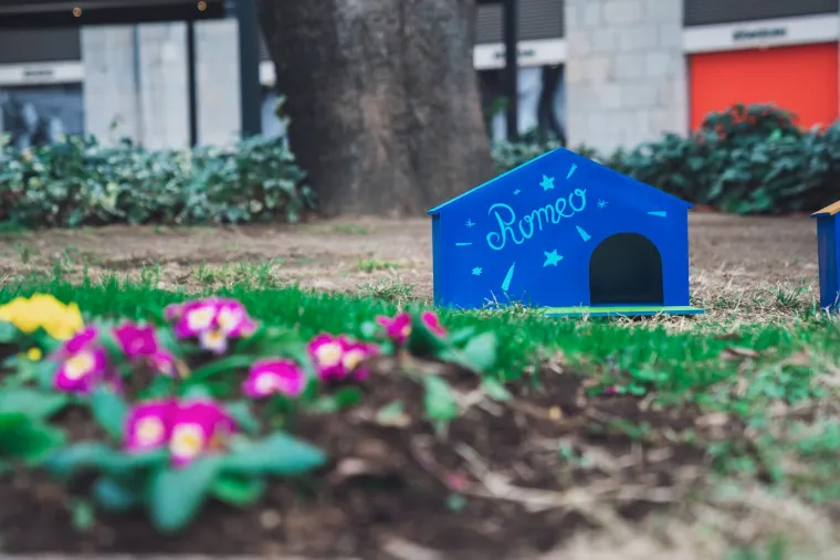 Splitsko kazali&scaron;te sagradilo neodoljivo POS naselje za mačke: 'Dom za mace s kazali&scaron;ne pjace'