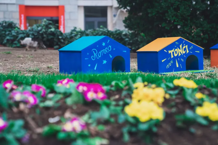 Splitsko kazali&scaron;te sagradilo neodoljivo POS naselje za mačke: 'Dom za mace s kazali&scaron;ne pjace'