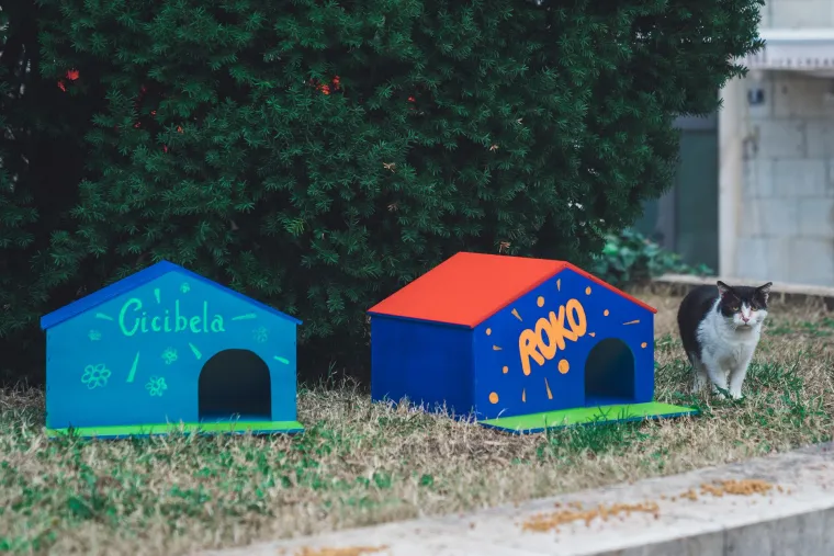 Splitsko kazali&scaron;te sagradilo neodoljivo POS naselje za mačke: 'Dom za mace s kazali&scaron;ne pjace'