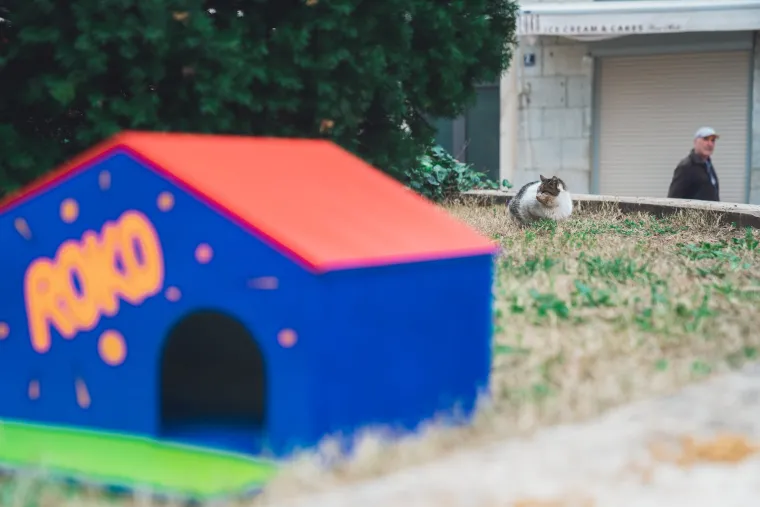 Splitsko kazali&scaron;te sagradilo neodoljivo POS naselje za mačke: 'Dom za mace s kazali&scaron;ne pjace'