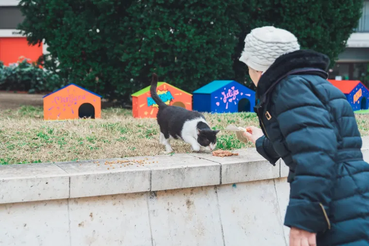 Splitsko kazali&scaron;te sagradilo neodoljivo POS naselje za mačke: 'Dom za mace s kazali&scaron;ne pjace'
