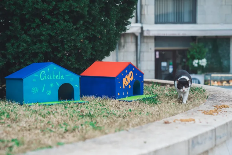 Splitsko kazali&scaron;te sagradilo neodoljivo POS naselje za mačke: 'Dom za mace s kazali&scaron;ne pjace'