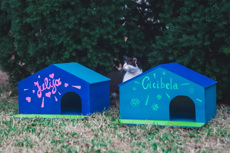 Splitsko kazali&scaron;te sagradilo neodoljivo POS naselje za mačke: 'Dom za mace s kazali&scaron;ne pjace'