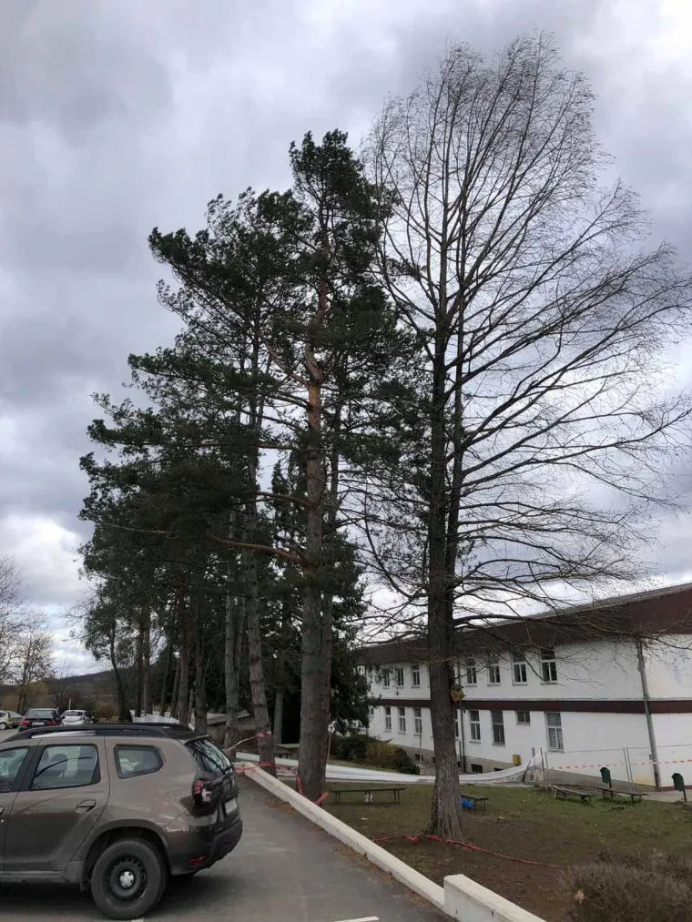 Vjetar je rušio sve pred sobom u Zagorju: U Konjščini iščupao drveće iz korijena