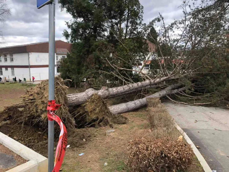 Vjetar je rušio sve pred sobom u Zagorju: U Konjščini iščupao drveće iz korijena