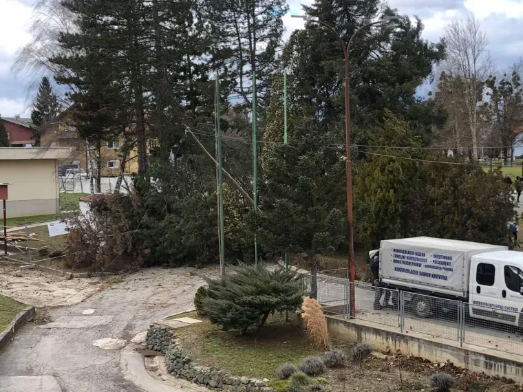Vjetar je rušio sve pred sobom u Zagorju: U Konjščini iščupao drveće iz korijena