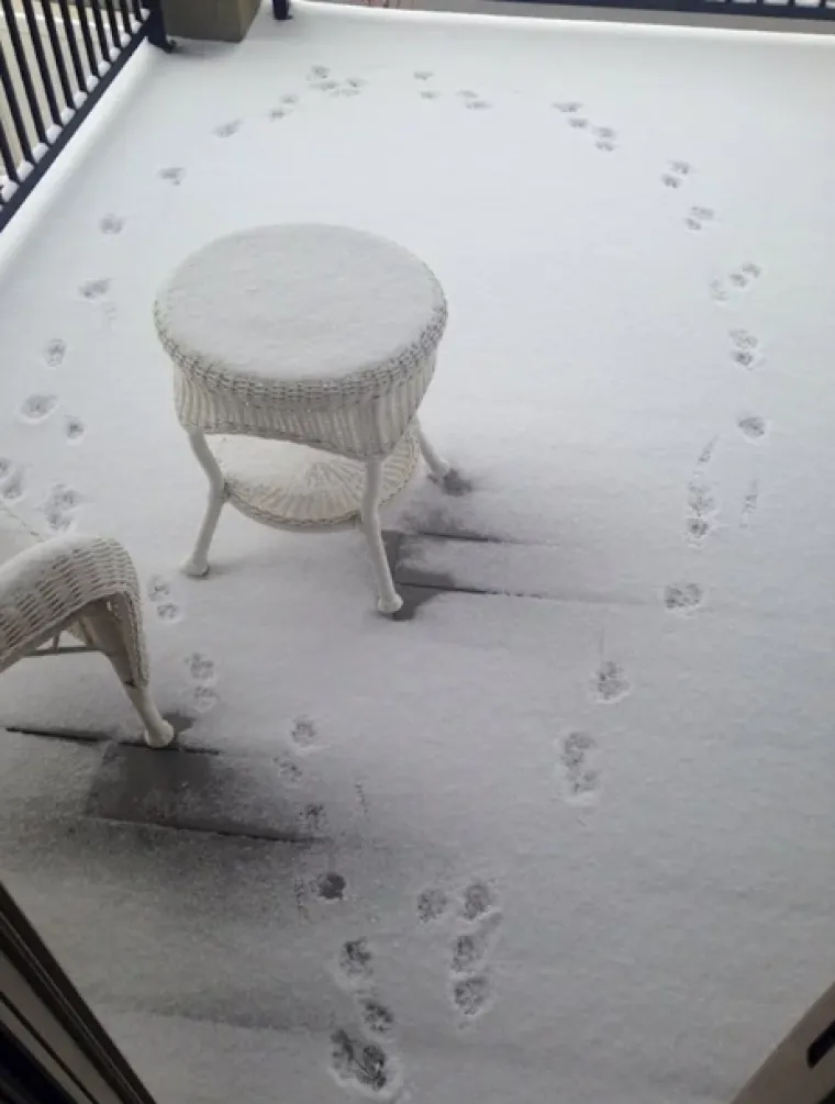 Gdje je vi&scaron;e to ljeto: Nakon ovih fotografija bit ćete zahvalni &scaron;to nas je zaobi&scaron;ao snijeg