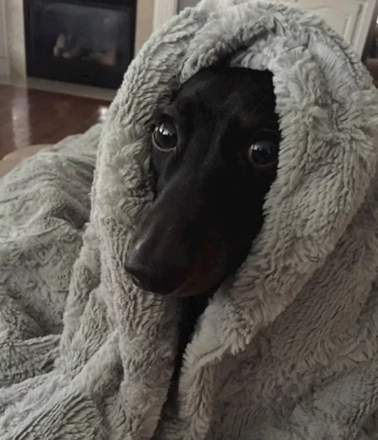 Gdje je vi&scaron;e to ljeto: Nakon ovih fotografija bit ćete zahvalni &scaron;to nas je zaobi&scaron;ao snijeg