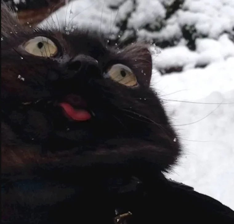 Gdje je vi&scaron;e to ljeto: Nakon ovih fotografija bit ćete zahvalni &scaron;to nas je zaobi&scaron;ao snijeg