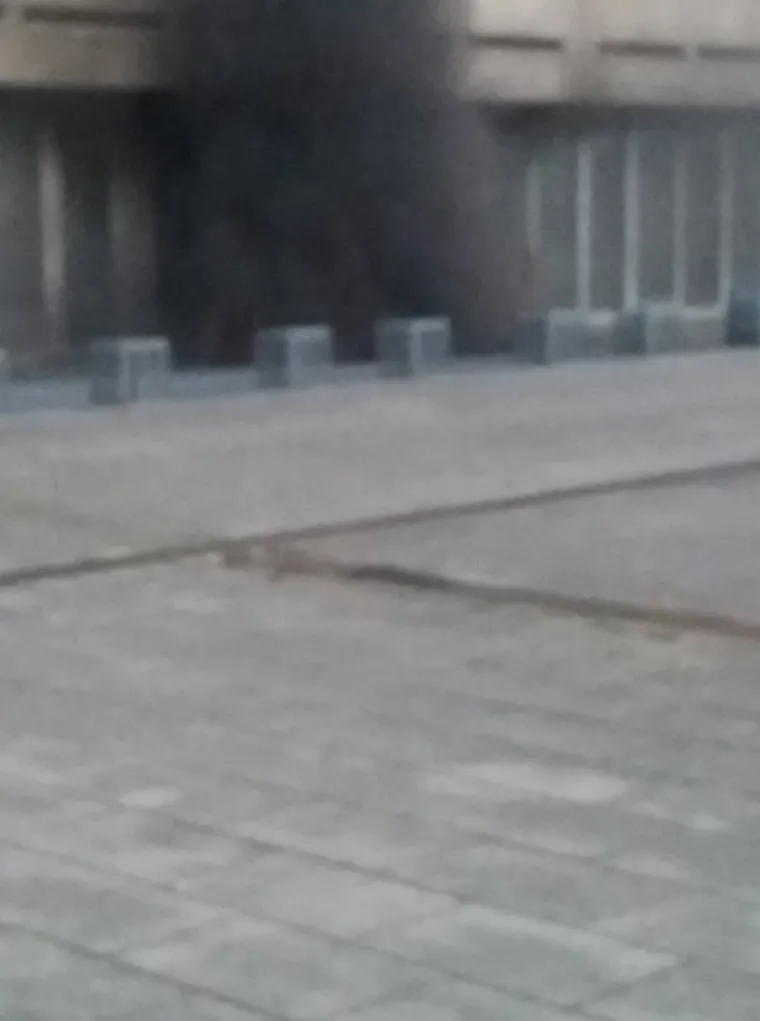 Požar u Novom Jelkovcu