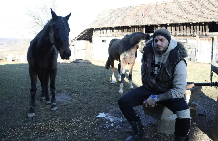 Ringo i Zero, dva prijatelja spa&scaron;ena iz klaonice, uživaju u zasluženoj slobodi