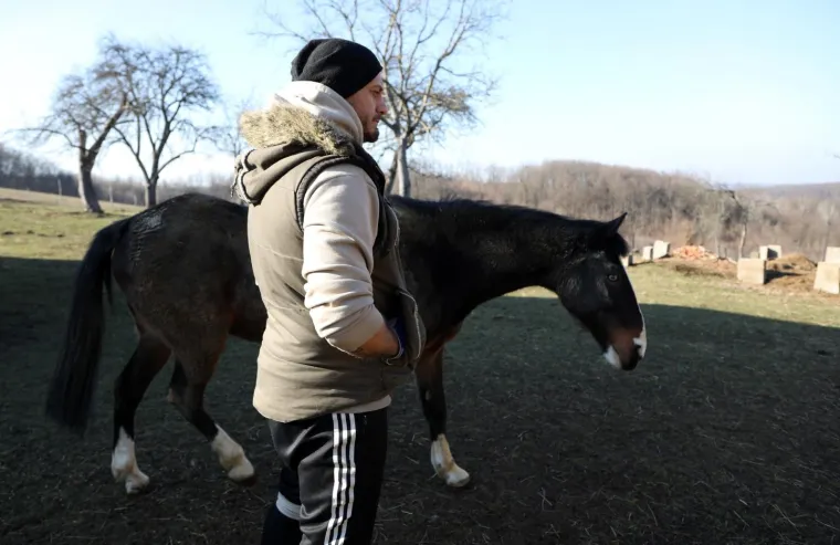 Ringo i Zero, dva prijatelja spa&scaron;ena iz klaonice, uživaju u zasluženoj slobodi