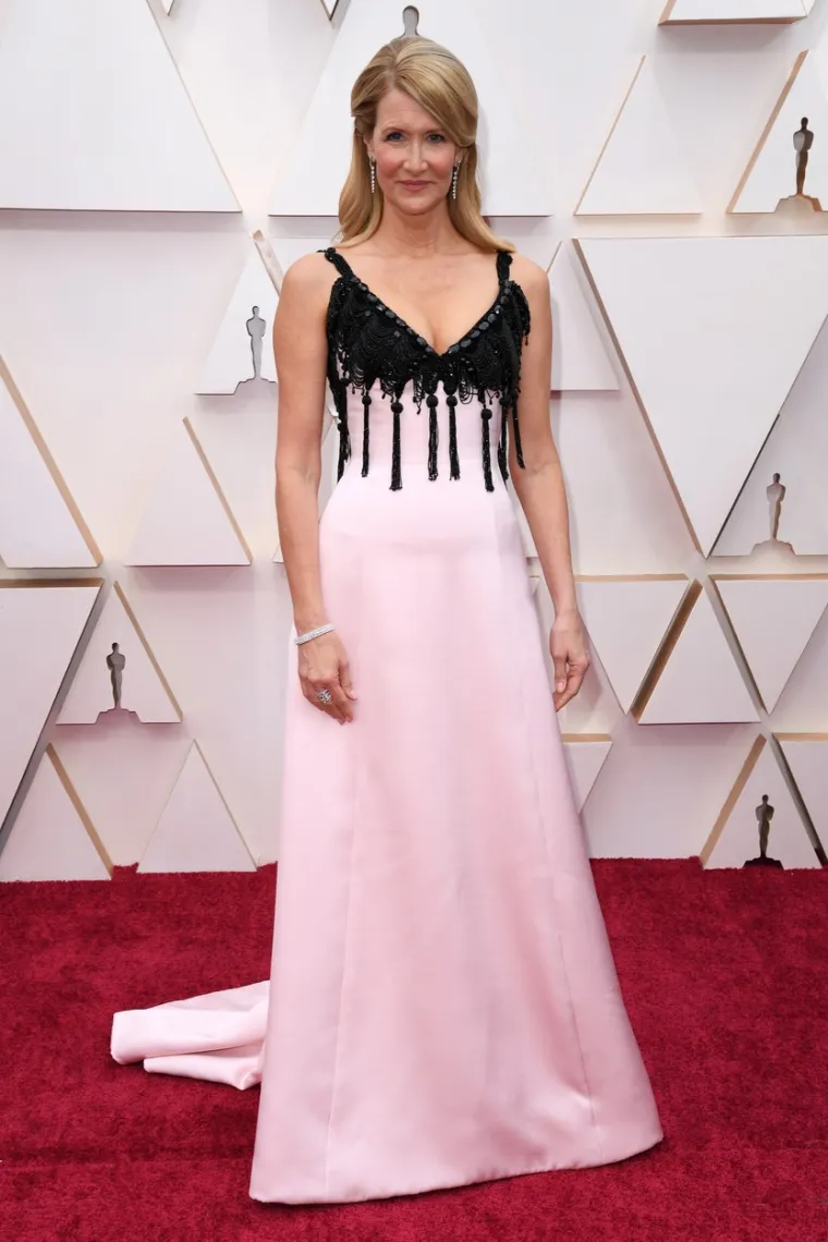 Laura Dern, Foto: David Fisher / Shutterstock Editorial / Profimedia