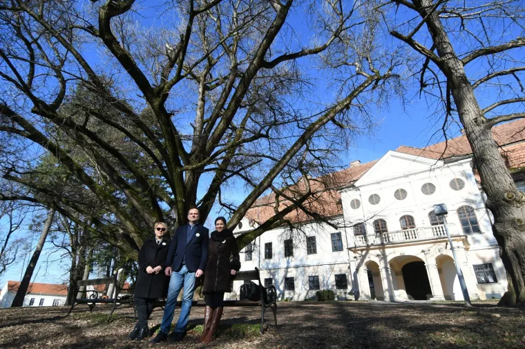 Ovo je najstarije drvo u Hrvatskoj i najdeblje na svijetu! Adama je jo&scaron; 1777. posadio poznati grof
