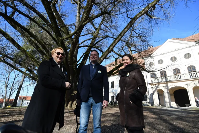 Ovo je najstarije drvo u Hrvatskoj i najdeblje na svijetu! Adama je jo&scaron; 1777. posadio poznati grof