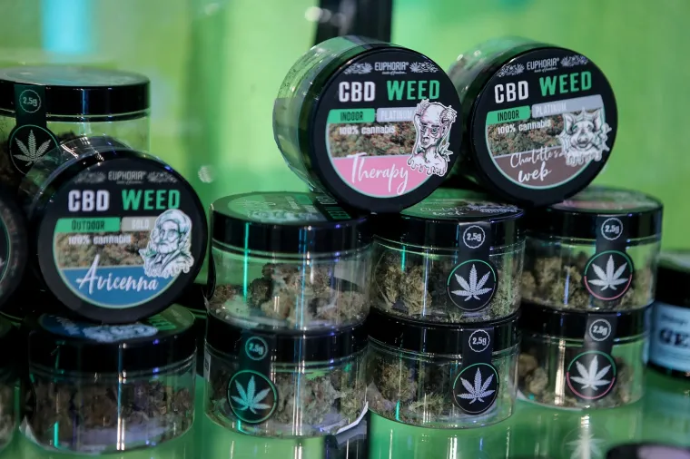 Cvijet i ulje kanabisa, čajevi, kozmetika, čokolada - pogledajte &scaron;to sve i po kojim cijenama možete kupiti od konoplje