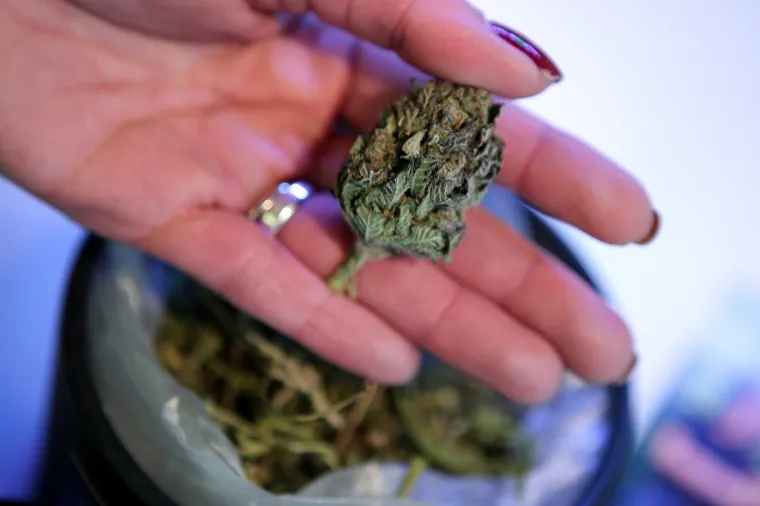 Cvijet i ulje kanabisa, čajevi, kozmetika, čokolada - pogledajte &scaron;to sve i po kojim cijenama možete kupiti od konoplje