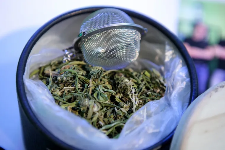 Cvijet i ulje kanabisa, čajevi, kozmetika, čokolada - pogledajte &scaron;to sve i po kojim cijenama možete kupiti od konoplje