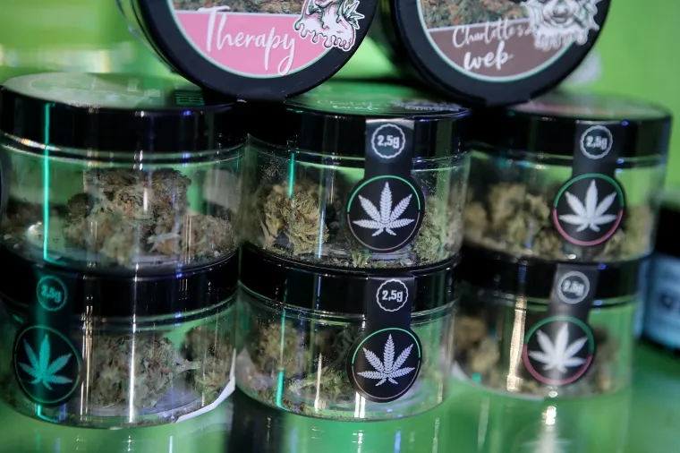 Cvijet i ulje kanabisa, čajevi, kozmetika, čokolada - pogledajte &scaron;to sve i po kojim cijenama možete kupiti od konoplje