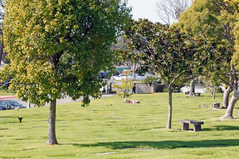 Komemoracija za Bryanta održat će se u ponedjeljak 24. veljače u  Staples Centru jer je Kobe većinu karijere nosio broj 24 na leđima.