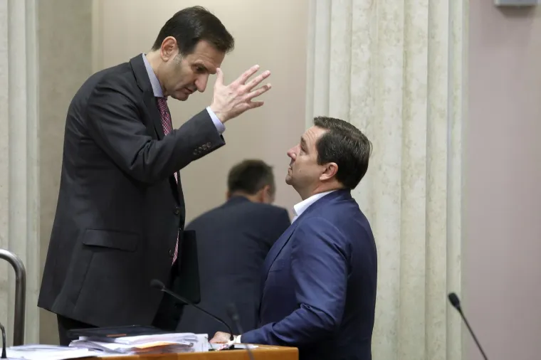 Protuteža je Plenkoviću jer ne zaostaje u obrazovanju, poznavanju europskih prilika i stranih jezika, a svoju priliku mogao bi vidjeti u činjenici da je desnije i nacionalnije orijentiran no aktualni predsjednik stranke.