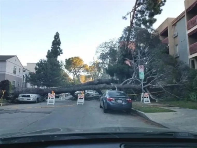 VOZILA KOJA BI JAKO ŽELJELA DA IMAJU DRUGOG VOZAČA: 'Ovdje vidimo rijedak prizor kamiona kako vježba jogu'