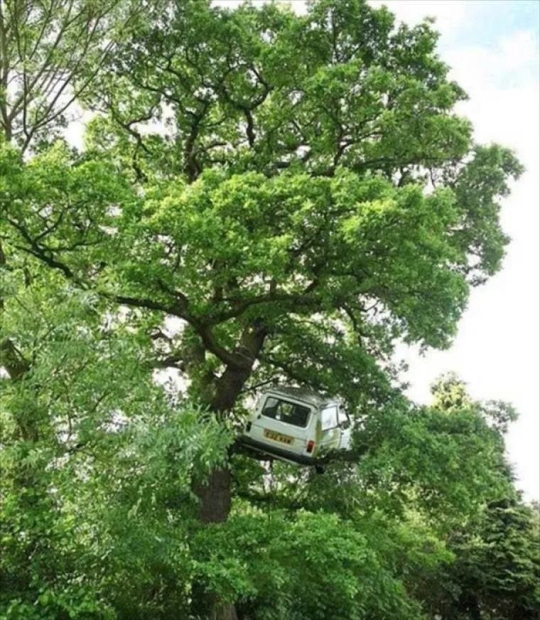 VOZILA KOJA BI JAKO ŽELJELA DA IMAJU DRUGOG VOZAČA: 'Ovdje vidimo rijedak prizor kamiona kako vježba jogu'