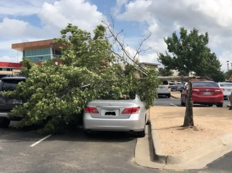VOZILA KOJA BI JAKO ŽELJELA DA IMAJU DRUGOG VOZAČA: 'Ovdje vidimo rijedak prizor kamiona kako vježba jogu'