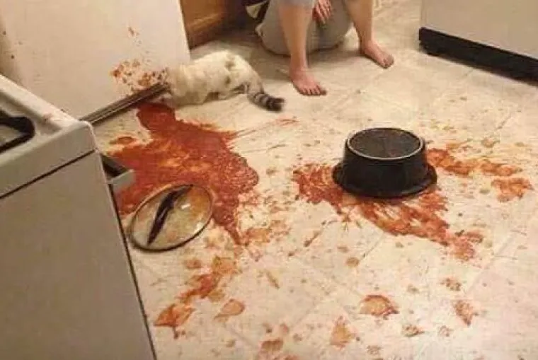 'Budući mužu, pripremi se': Ovo je za sve žene u potrazi za frajerom koji će prihvatiti njihov antitalent