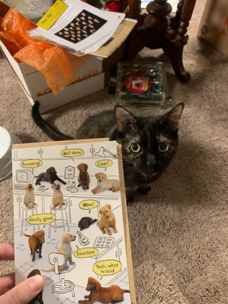 POKAZALI NAJSRAMOTNIJE FOTOGRAFIJE SVOJIH LJUBIMACA: Probajte ne umrijeti od smijeha