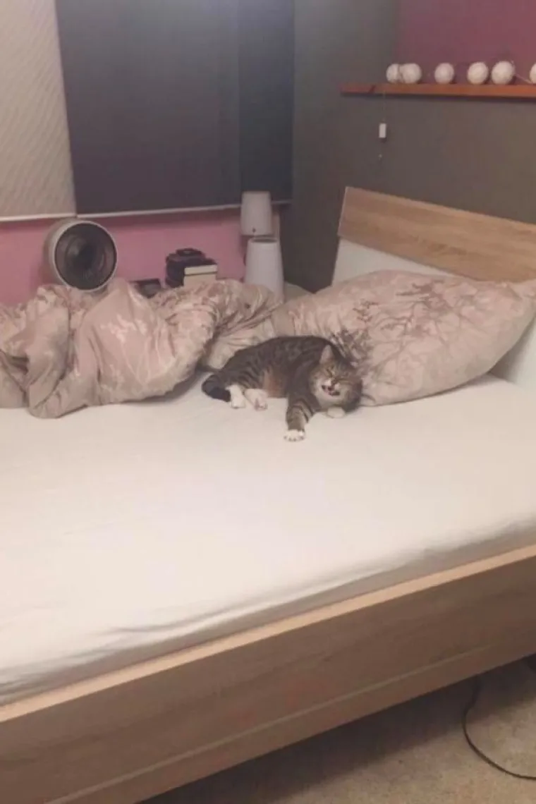 POKAZALI NAJSRAMOTNIJE FOTOGRAFIJE SVOJIH LJUBIMACA: Probajte ne umrijeti od smijeha